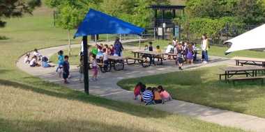 Park visitors siting at picnic tables in the shade.